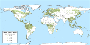 Tropical Forest Canopy Height: Tracking Environmental Impact