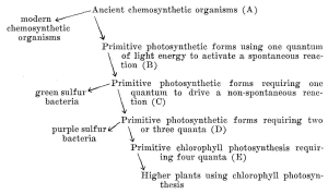 Evolution of Photosynthesis: New Discoveries Unveiled
