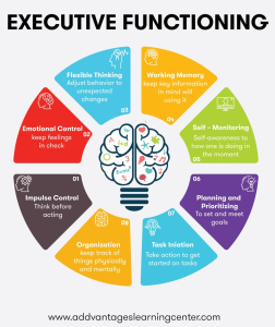 Executive Function: Understanding Schooling’s Impact